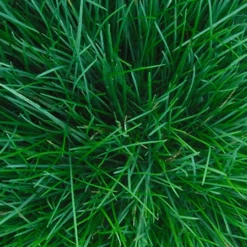 Talen Tools Tuinwals 40 Cm 40 Liter