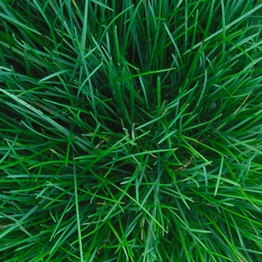 Talen Tools Tuinwals 40 Cm 40 Liter 3 Talen Tools Tuinwals 40 Cm 40 Liter