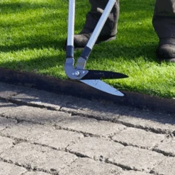 Blossombs Adventskalender - Xmas