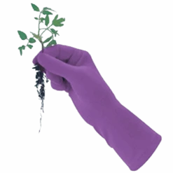 De Wiltfang Foxgloves Original -Perfecte Tuinwinkel image 242