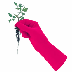 De Wiltfang Foxgloves Original -Perfecte Tuinwinkel image 243