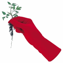 De Wiltfang Foxgloves Original -Perfecte Tuinwinkel image 245