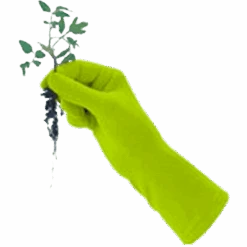 De Wiltfang Foxgloves Original -Perfecte Tuinwinkel image 246