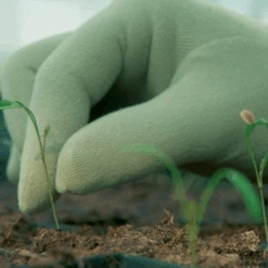 De Wiltfang Foxgloves Original -Perfecte Tuinwinkel image 249