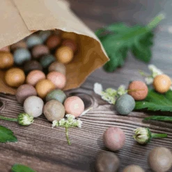 Perfecte Tuinwinkel -Perfecte Tuinwinkel image 330