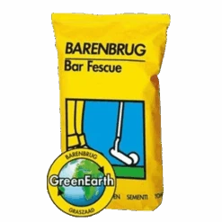 Barenbrug Bar Fescue (Green 1) - 15KG
